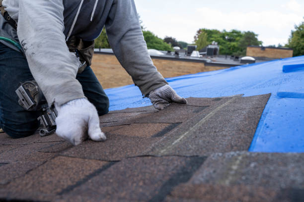 Best Metal Roofing Installation  in Greenock, PA